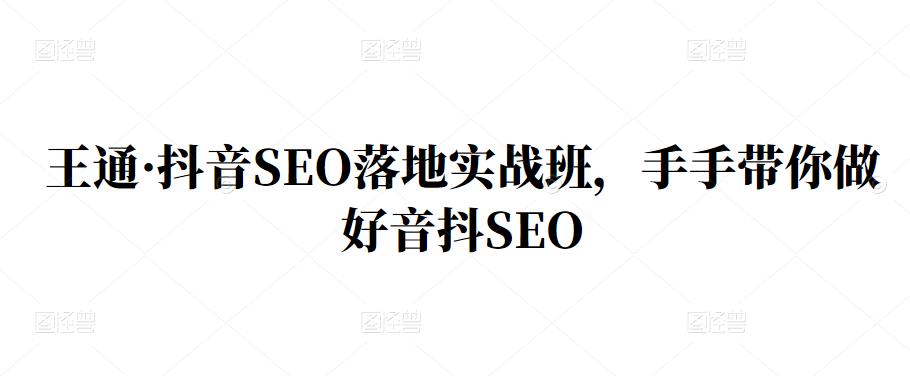 王通·抖音SEO落地实战班，手‬手带你做好音抖‬‬SEO-秀人资源网