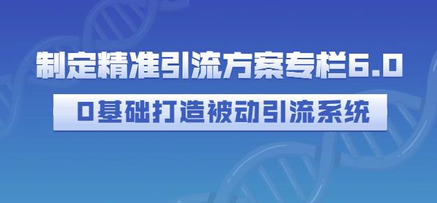 制定精准引流方案专栏6.0，0基础打造被动引流系统-秀人资源网