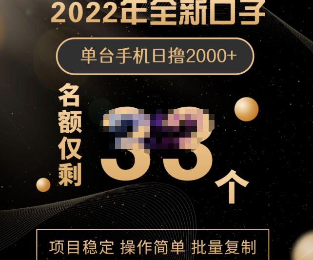 2022年全新口子，手机批量搬砖玩法，一部手机日撸2000+-秀人资源网