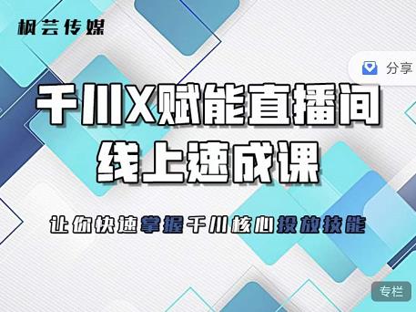 枫芸传媒-线上千川提升课，提升千川认知，提升千川投放效果-秀人资源网