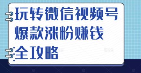 玩转微信视频号爆款涨粉赚钱全攻略，让你快速抓住流量风口，收获红利财富-整合资源网