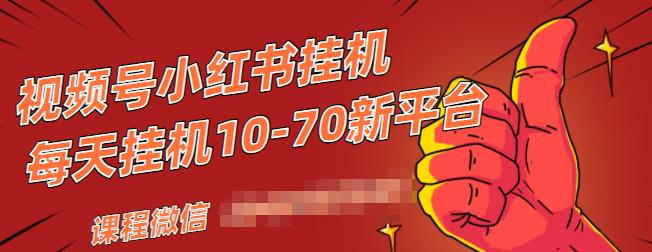 视频号小红书抖音挂机项目，小白无脑操作，按照要求来，单号每天几十元-秀人资源网