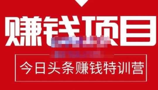 懒人领域·今日头条项目玩法，头条中视频项目，单号收益在50—500可批量-整合资源网
