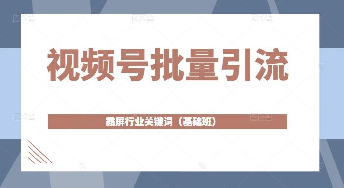 视频号批量引流，霸屏行业关键词（基础班）全面系统讲解视频号玩法-整合资源网