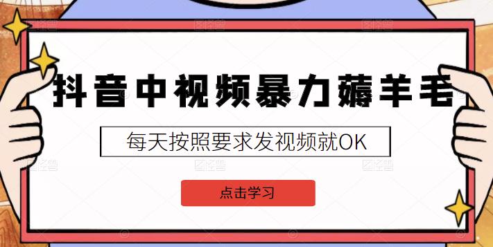 2022抖音中视频暴力薅羊毛白嫖项目：新号每天20块，老号几天几百块，可多号-秀人资源网