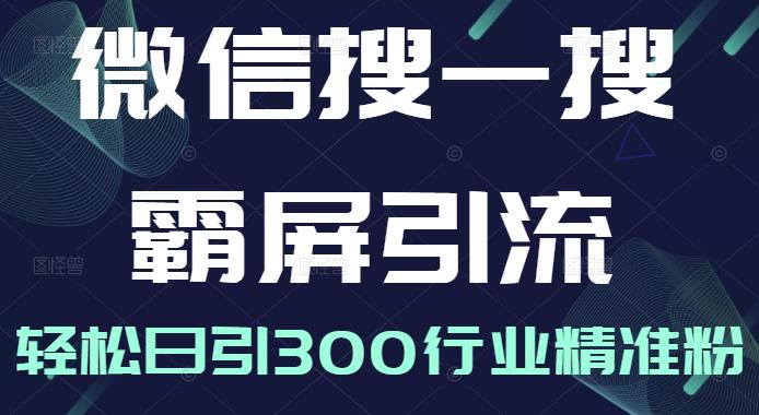 微信搜一搜霸屏引流课，打造被动精准引流系统，轻松日引300行业精准粉-秀人资源网