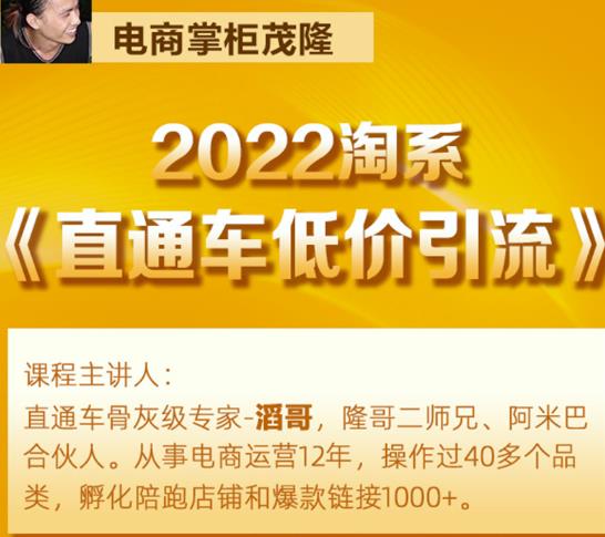 茂隆2022直通车低价引流玩法，教大家如何低投入高回报的直通车玩法-秀人资源网