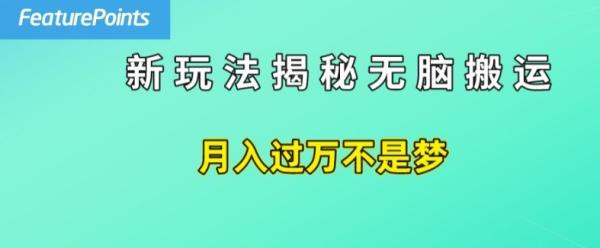 简单操作，每天50美元收入，搬运就是赚钱的秘诀【揭秘】-秀人资源网