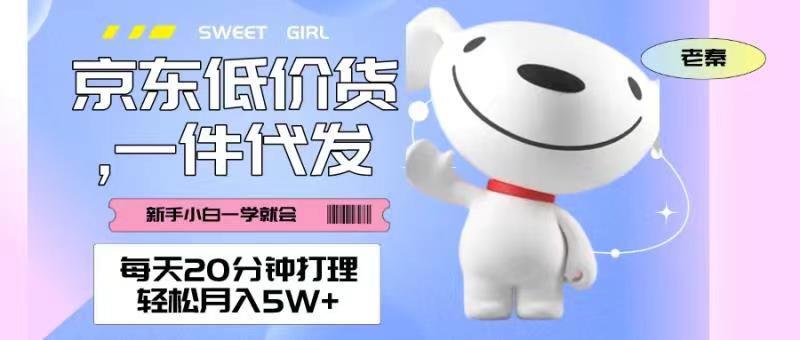 每天20分钟打理京东低价货，一件代发-轻松月入5W＋-秀人资源网