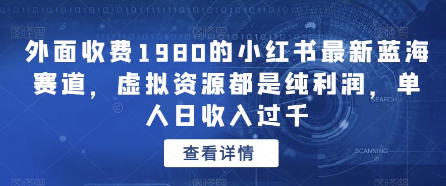 外面收费1980的小红书最新蓝海赛道，虚拟资源都是纯利润，单人日收入过千-整合资源网