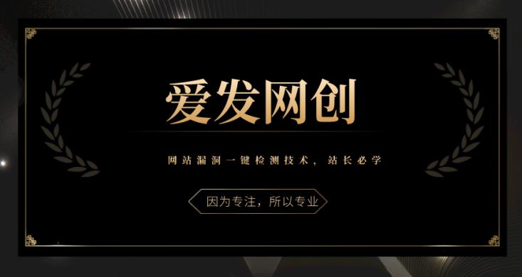 《爱发必学第6课》网站漏洞一键检测技术，站长必学-整合资源网