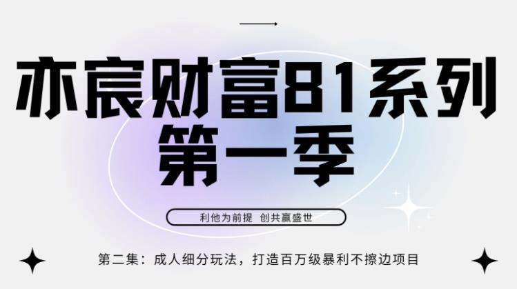 亦宸财富81系列第1季第2集：成人细分玩法，打造百万级暴利不擦边项目-整合资源网