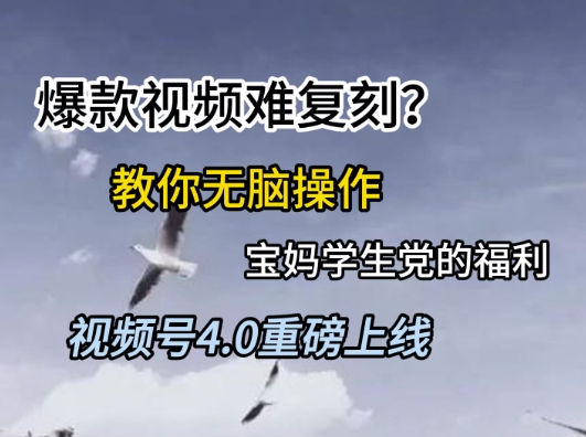 视频号4.0重磅上线，爆款视频难复刻？教你无脑操作宝妈学生党的福利【揭秘】-秀人资源网