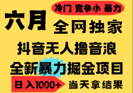 25年6月高爆抖音无人直播最新撸音浪掘金项目，小白可做，无脑日入1k+，门槛低可批量矩阵【揭秘】-整合资源网