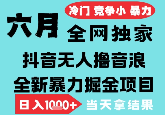 2025年6月高爆抖音无人直播最新撸音浪掘金项目，无脑日入1k+，低门槛小白可做，可矩阵放大【揭秘】-秀人资源网