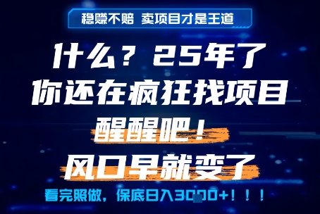 什么？25年你还在疯狂找项目做，醒醒吧，看完这些你全都懂了！【揭秘】-秀人资源网