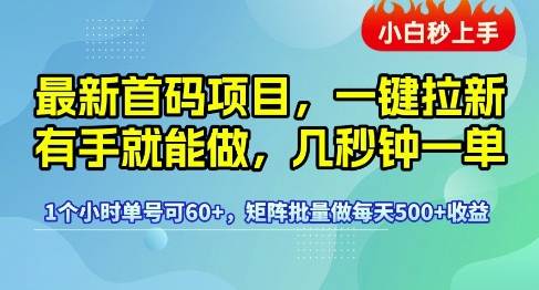 最新首码项目，一键拉新有手就能做，几秒钟一单，1个小时单号可60+，矩阵批量做每天5张【揭秘】-整合资源网