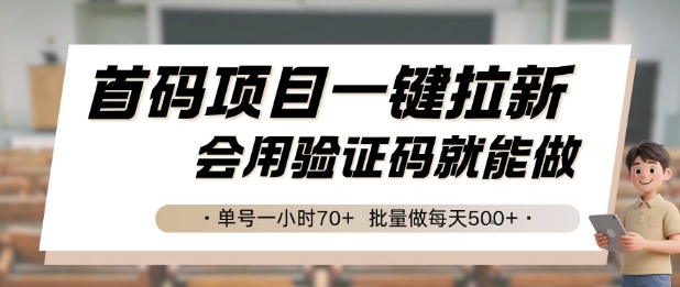 首码项目一键拉新，会用验证码就能做 单号一小时70+，批量做每天5张【揭秘】-整合资源网