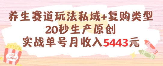 养生赛道玩法私域+复购类型，20秒生产原创实战单号月收入5k+-秀人资源网