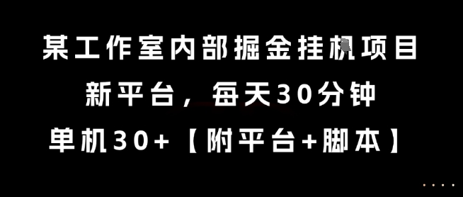 某工作室内部掘金挂G项目，新平台，每天30分钟，单机30+【揭秘】-秀人资源网
