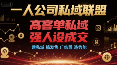 一人公司私域联盟，高客单私域，强人设成交，建私域 搞发售 广结盟 造势能-秀人资源网
