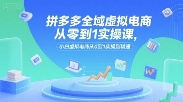 拼多多全域虚拟电商从零到1实操课，小白虚拟电商从0到1实操到精通-整合资源网