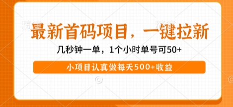 最新首码项目，操作最简单，收益高，一键拉新，1个小时单号可50+，小项目认真做每天5张+收益【揭秘】-秀人资源网