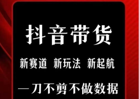 抖音短视频一刀不剪带货，不剪辑，不直播，每天发个视频，等着出单获取带货佣金-秀人资源网