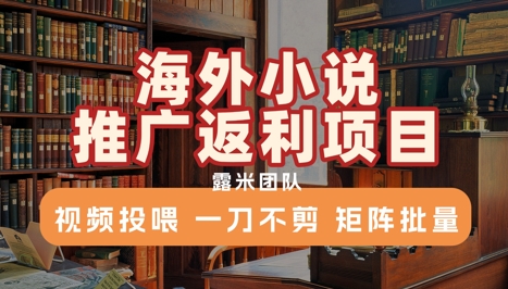 海外小说推广返利项目，视频投喂， 一刀不剪，矩阵批量-整合资源网