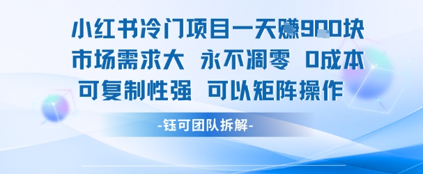 小红书冷门项目一天收益9张，市场需求大，0成本，可复制性强可以矩阵操作-整合资源网