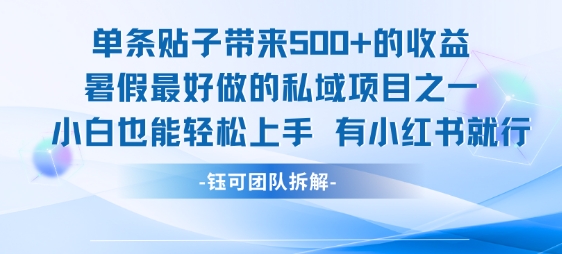 单条贴子带来5张的收益，暑假最好做的私域项目之一，小白也能轻松上手，有小红书就行-整合资源网