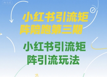 小红书引流矩阵陪跑第三期，小红书引流矩阵引流玩法-整合资源网