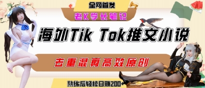 海外tiktok小说推文暴力项目，高停留率，高转化率，上手后一天搞顿饭钱不是问题-整合资源网