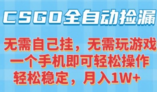 CSGO自动捡漏项目，最新独家玩法，一个手机可操作，新手小白轻松月入1W+，操作简单易上手【揭秘】-整合资源网