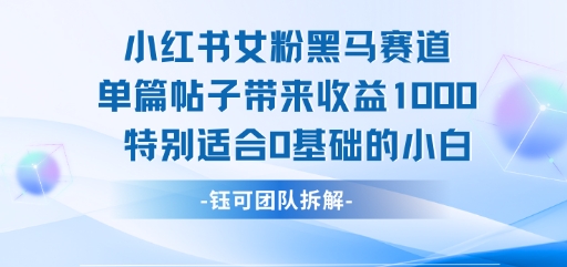 小红书女粉黑马赛道单篇帖子带来收益1k+，特别适合0基础的小白-整合资源网