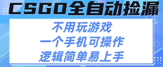 CSGO自动捡漏项目，最新独家玩法，不用挂G不用玩游戏，一个手机即可操作，新手小白轻松月入1W+【揭秘】-整合资源网