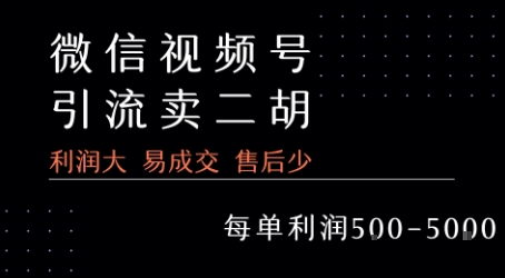 视频号卖二胡教程，利润大 易成交 售后少，一单利润5张+-整合资源网