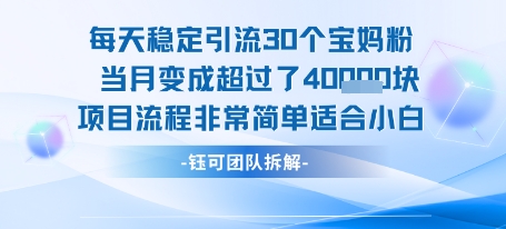 每天稳定引流30个人 当月变成超过了4个W项目流程非常简单适合小白-整合资源网