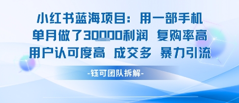 小红书蓝海项目，一部手机单月做了3W利润，小白也能月入过1W用户认可度高成交多-整合资源网