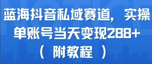蓝海抖音私域赛道，实操单账号当天变现288+(附教程)-整合资源网