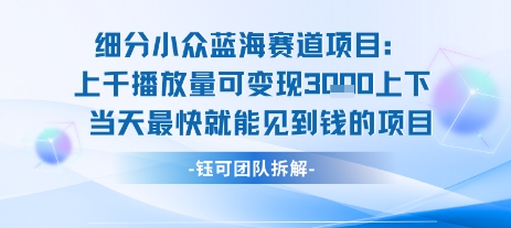 小众蓝海赛道项目：当天变现1k+适合新手操作 +适合长期玩-整合资源网