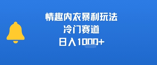 情趣内衣暴利玩法，冷门赛道，日入1k+-整合资源网