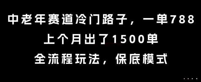 中老年赛道冷门路子，一单788，上个月出了1500单，全流程玩法，保底模式【揭秘】-整合资源网