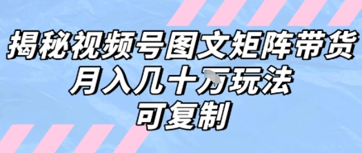 解密视频号图文矩阵带货，月入几个W的打法，可复制-整合资源网
