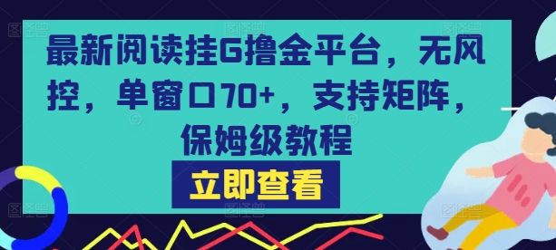 最新阅读挂G撸金平台，无风控，单窗口70+，支持矩阵，保姆级教程【揭秘】-整合资源网