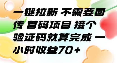 一键拉新 不需要回传 首码项目 接个验证码就算完成 一小时收益70+【揭秘】-整合资源网