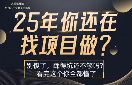 25年，你还在疯狂的找项目吗？别傻了，看完这个你都懂了【揭秘】-整合资源网
