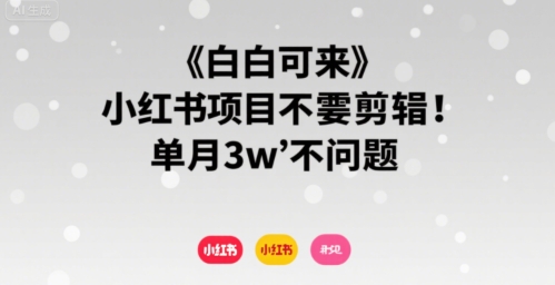 小白可来 小红书项目不需要剪辑 单月3w不是问题-整合资源网