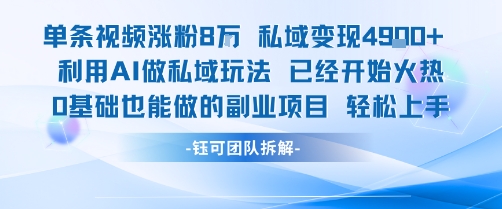 单条视频私域变现4.9k+利用AI做私域玩法 已经开始火热0基础也能做的副业项目轻松上手-整合资源网
