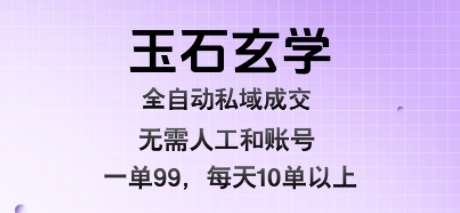 玉石玄学全自动私域成交，一单99每天十单以上，无需人工和矩阵账号，蓝海项目直接干【揭秘】-整合资源网